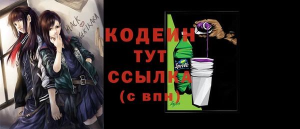 индика Арсеньев