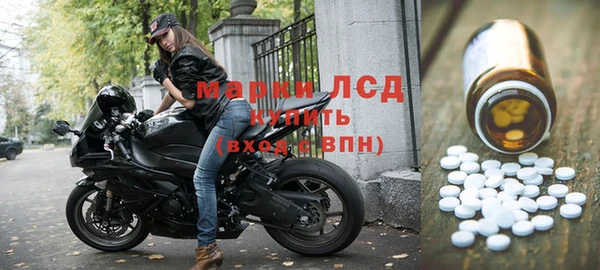 индика Арсеньев