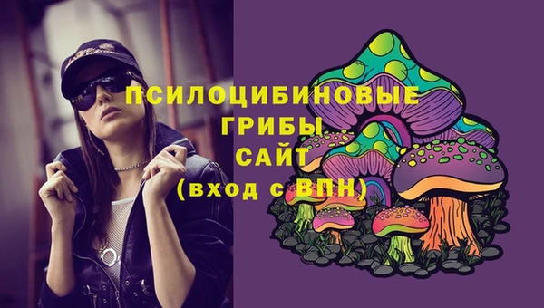 прущий лед Аркадак