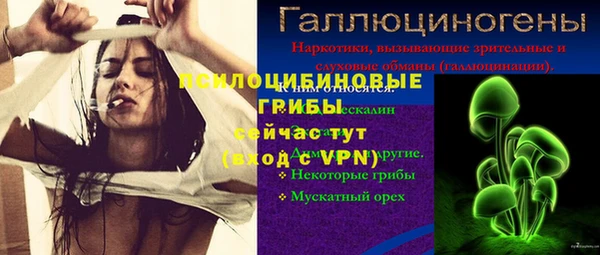 индика Арсеньев