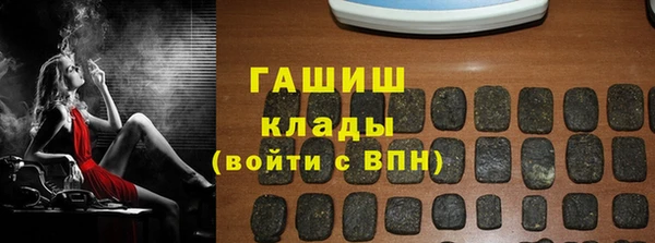 индика Арсеньев