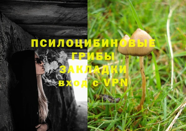 индика Арсеньев